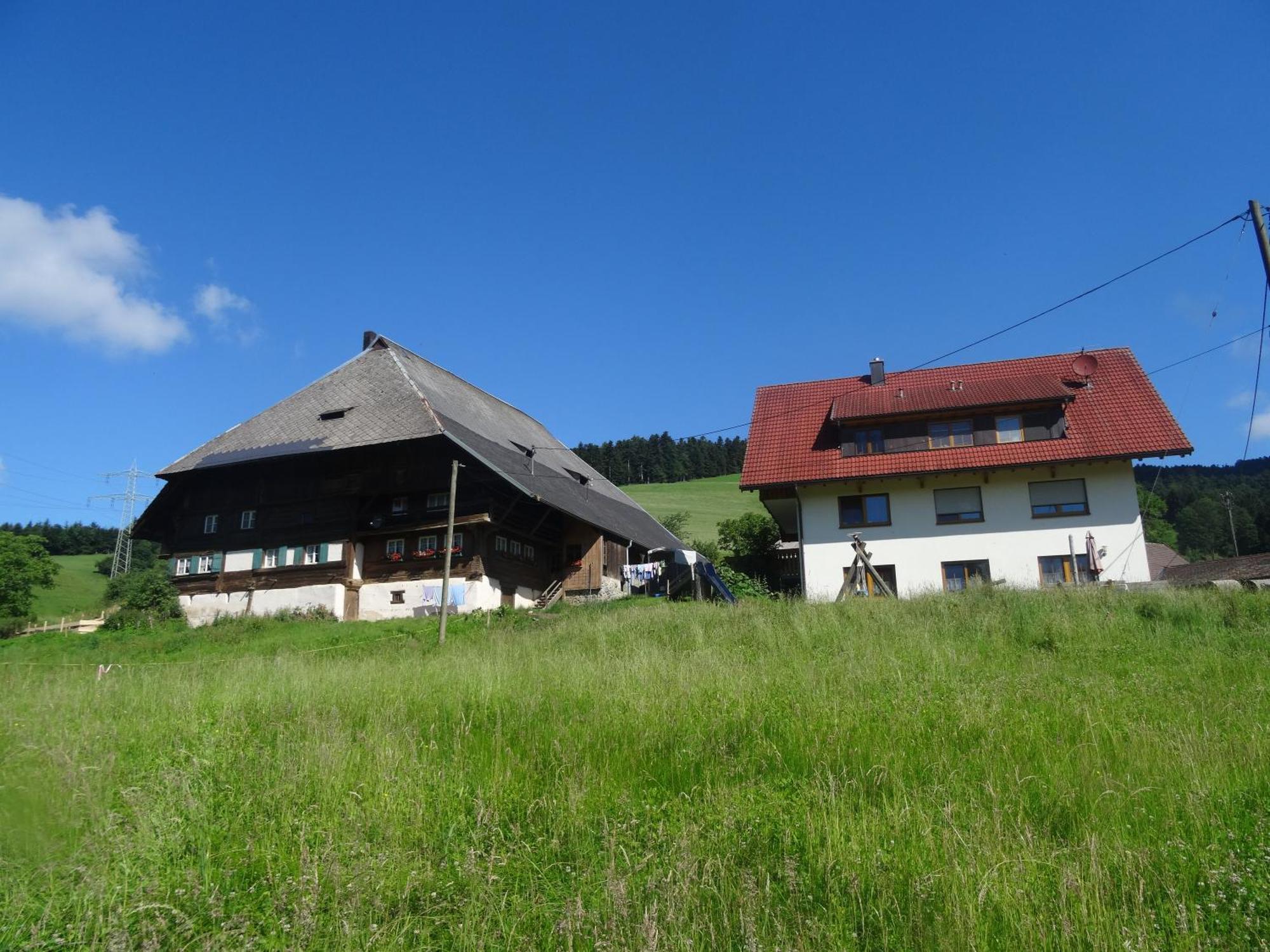 Апартаменти Hinterbauernhof Fewo Pferdeglueck Stegen Екстер'єр фото